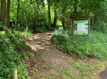 Trail Walking Marconne - Balade biodiversité - Photo