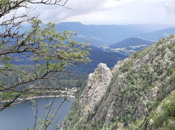 Tocht Stappen Orbey - orbey lac noir et lac blanc - Photo