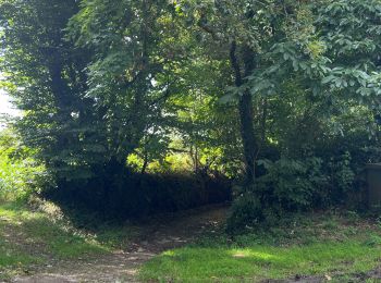 Tour Wandern Guipavas - Chemin creux des trognes - Photo