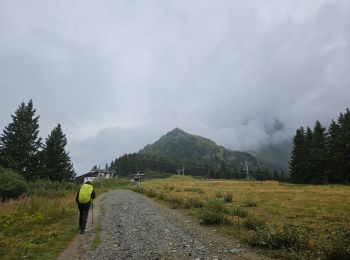 Trail Walking Saint-Gervais-les-Bains - J8 - Grand Balcon Nord : Prarion - Bellevue - Photo