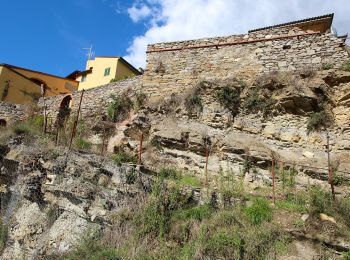 Trail On foot Capolona - IT-47 - Photo