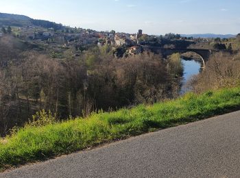 Tocht Mountainbike Brioude - promenade avec canette - Photo