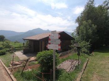 Percorso A piedi Val Brembilla - Sentiero 505A: Zogno - Tiglio - S. Antonio Abbandonato - Castignola - Photo