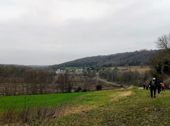 Trail Walking Bouresches - Bouresches du 03-02-2022 - Photo