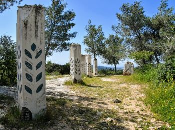 Randonnée A pied מועצה אזורית מטה יהודה - דרך הג'יפים - Photo