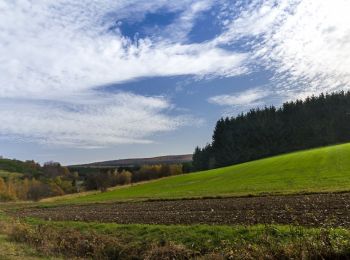 Randonnée A pied Schillingen - Schillinger Panoramaweg - Photo