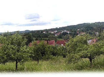 Tour Zu Fuß Bexbach - Hangard Brunnenpfad - Photo