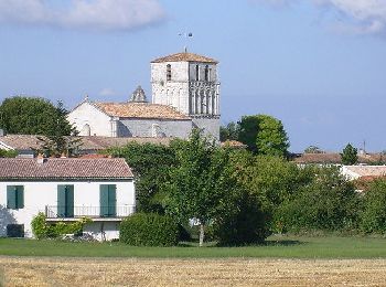 Trail On foot Saint-Sulpice-de-Royan - St Sulpice de Royan 17  (9km3) - Photo