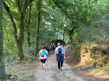 Trail Walking Sarria - 2022 Camino de Santiago 2 - Photo