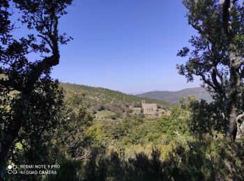 Tocht Stappen Boule-d'Amont - Serrabone - Photo