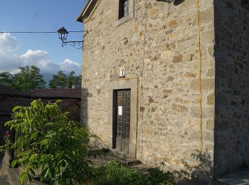 Trail On foot Minucciano - Garfagnana Trekking - Tappa 5 - Photo