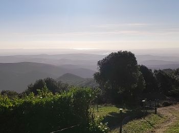 Trail Walking Saint-Jean-de-Minervois - TBG - ACAD - Saint -Martial trace finale - Photo