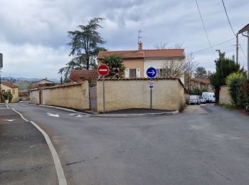 Tocht Stappen Lentilly - Lentilly 2 Les Terres - Photo