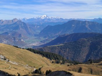 Excursión Senderismo Bellecombe-en-Bauges - BAUGES: BANC PLAT via REPOSOIR - BORNETTE - REFUGE COMBE - Photo