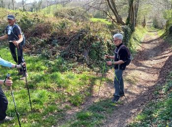 Tour Nordic Walking La Baleine - gavray 9,3 km - Photo