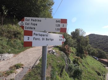 Excursión A pie Caprino Bergamasco - Sentiero 807: Gronfaleggio - Col Pedrino - Photo