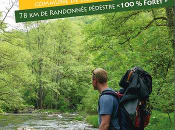 Randonnée Marche Libin - Entre Lesse et Lomme_33-T-Transinne - Photo