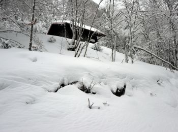 Randonnée Raquettes à neige Ventron - 20210124 - Col-Oderen - Chalet Forgoutte - Photo