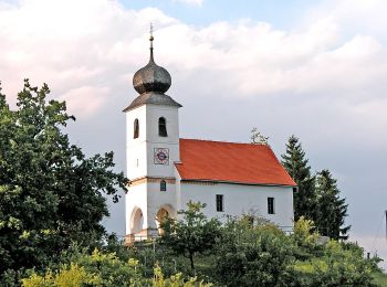 Trail On foot Sankt Martin im Sulmtal - Genusstour - Photo