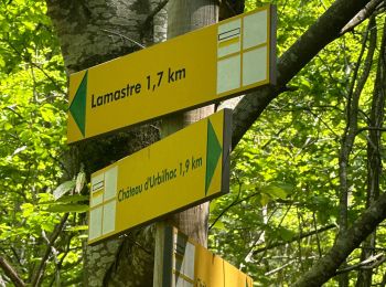 Tocht sport Lamastre - Lamastre Montreynaud - Photo