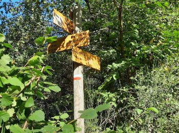 Tocht Stappen Chanat-la-Mouteyre - chanat route Vulcania,7.5km,155m - Photo