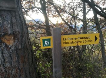 Randonnée Voiture Le Sauze-du-Lac - La Pierre d'Arnaud 231121 - Photo