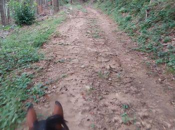 Trail Horseback riding Saint-Félicien - rochefort version longue - Photo