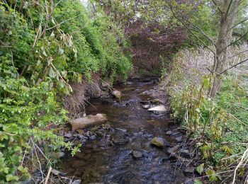 Tocht Te voet Morsbach - Winkel Lichtenberg - Odenspiel - Photo