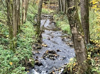 Trail On foot Gummersbach - Verbindungsweg Lobscheid - X11a - Photo