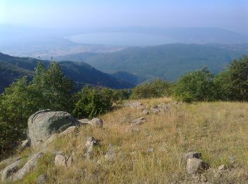 Tour Zu Fuß  - GR-M1 - Photo