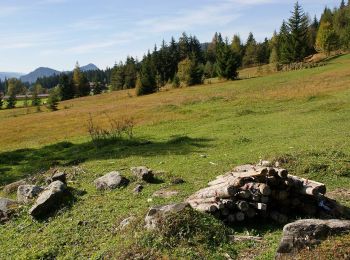 Percorso A piedi Ramsau am Dachstein - Vorbergrundweg - Photo