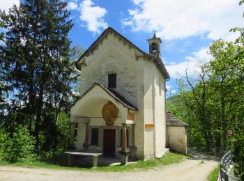 Tour Zu Fuß Bognanco - Via Stockalper tappa 4 - Photo