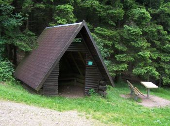 Tocht Te voet Brotterode-Trusetal - Rundwanderweg - Photo