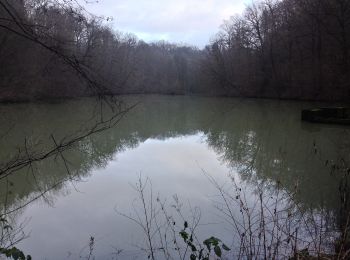 Percorso A piedi Neunkirchen-Seelscheid - Rehwiese Rundweg A3 - Photo