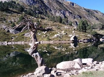 Excursión Senderismo Alto Arán - 2022-09-15 : plan de beret, lacs de bacivièr - Photo