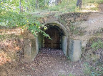 Percorso A piedi Forchheim - Kersbach-Schlaifhausen - Photo