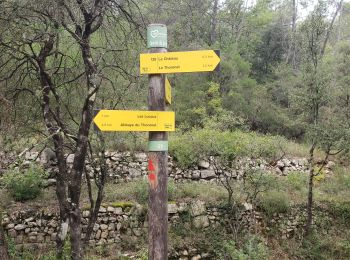 Randonnée Marche Le Thoronet - Le chemin des moines - Photo