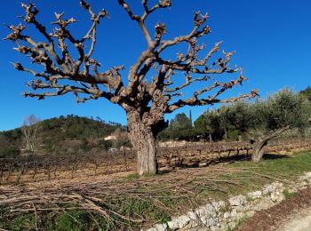 Tocht Stappen Le Val - Circuit des Chapelle-Le Val-15-01-21 - Photo