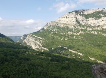 Excursión Senderismo Courmes - Courmes. Le plateau de Saint Barnabé et le champ des Idoles. - Photo