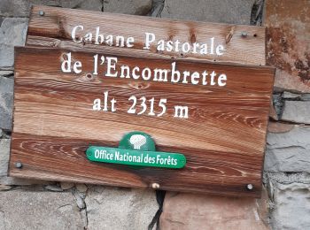 Randonnée Marche Colmars - col de l'encombrette pas de L'Echellette - Photo