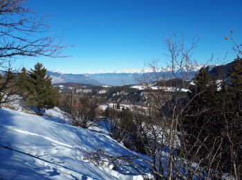 Tour Schneeschuhwandern Engins - Charande en circuit au départ des Aigaux - Photo