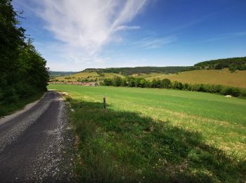 Randonnée V.T.T. Froncles - Hte-Marne à VTT : entre val de Marne, Rognon et plateaux - Photo
