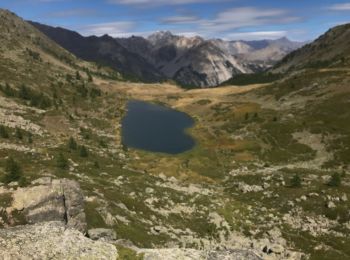 Excursión Senderismo Névache - Gardiette  - Photo