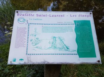 Tocht Stappen Beulotte-Saint-Laurent - Beulotte St Laurent - le plateau des Mille Etangs - Photo