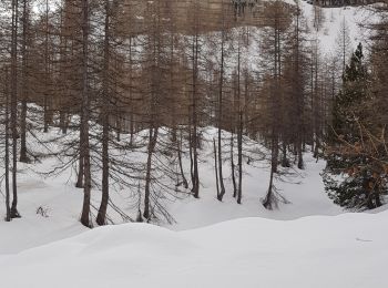 Randonnée Raquettes à neige Entraunes - cabanes de sanguinieres et roche trouée - Photo