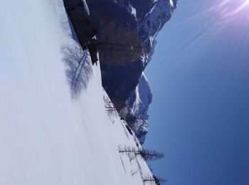 Trail Touring skiing Tignes - col de la sache et Col de la sachette - Photo
