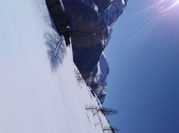 Tocht Ski randonnée Tignes - col de la sache et Col de la sachette - Photo