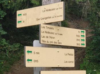 Randonnée Marche Arâches-la-Frasse - Les crêtes des Carroz, l'Airon - Photo
