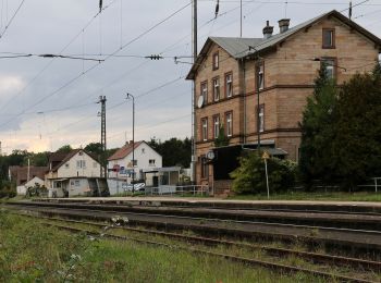 Tour Zu Fuß Messel - Rundwanderweg Messel 1: Urpferdchen-Weg - Photo