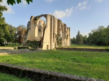 Excursión Bici de carretera Soisy-sur-École - Verrerie Gare de Melun - Photo